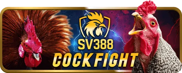 Hệ thống bảo mật by88 login